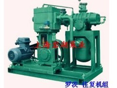 供應(yīng)羅茨-往復(fù)真空泵機組系列——高效可靠的真空解決方案